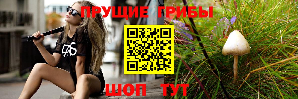 наркошоп  Вход с VPN  Донской  Псилоцибиновые грибы MAGIC MUSHROOMS 